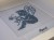 IMG_6483.jpeg